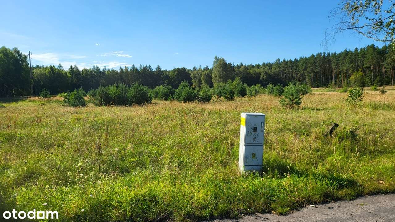 Działka Stawno 8800 m2 z warunkami zabudowy!-2