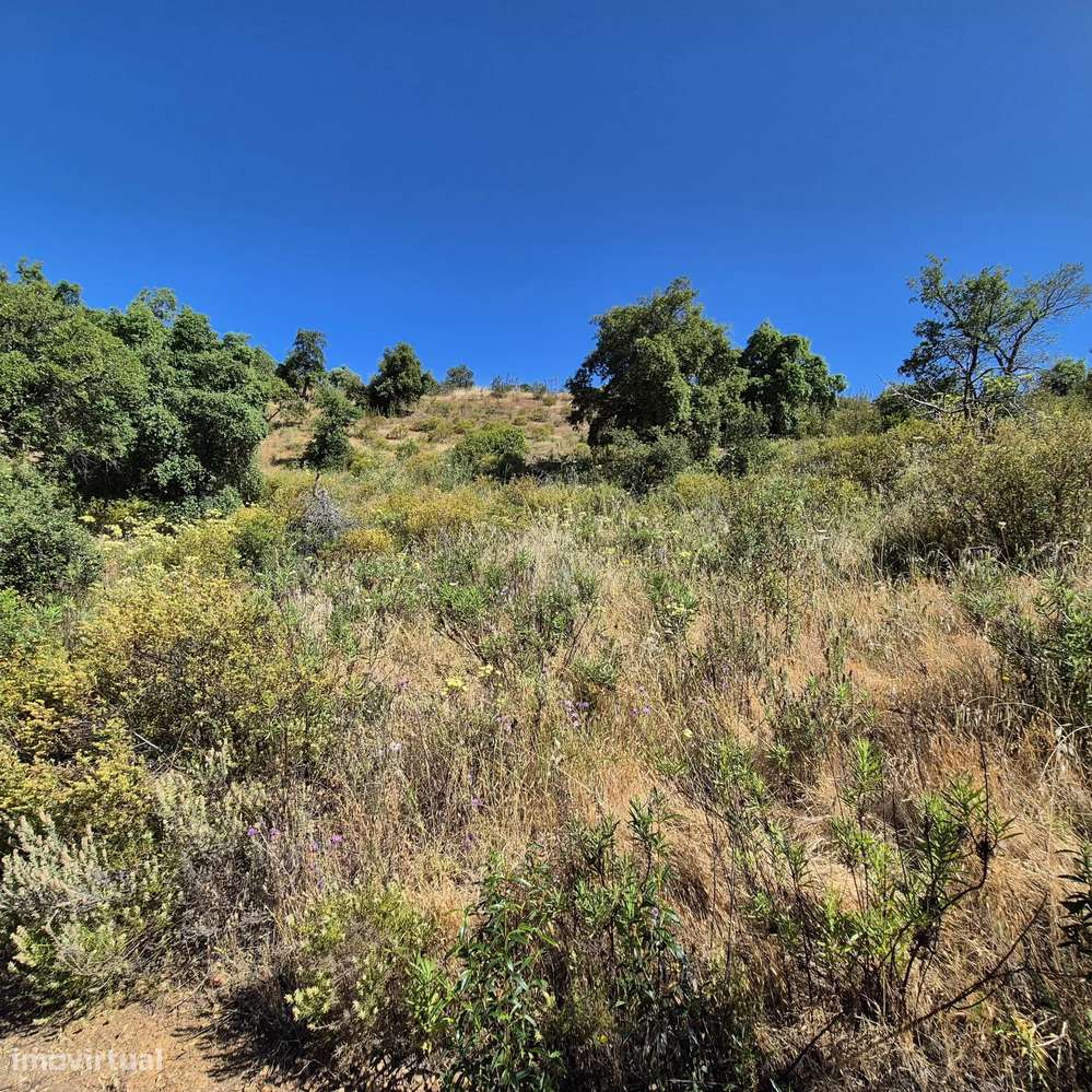 Terreno Rústico em Alqueivinho - Grande imagem: 5/9