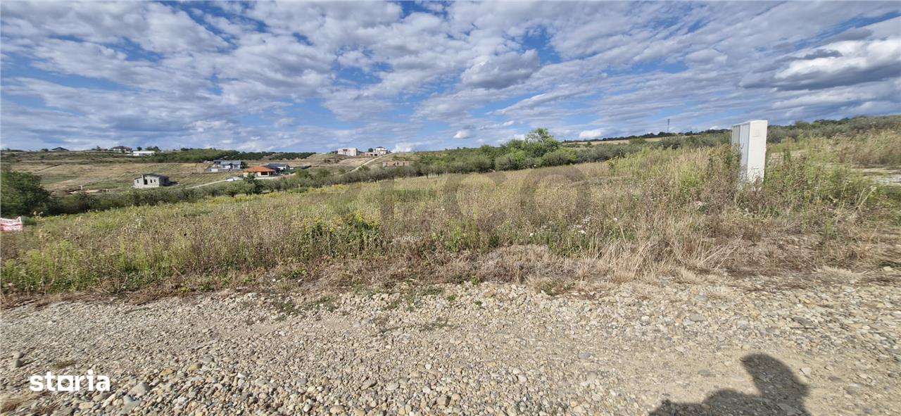 RECO Teren  intravilan in Saldabagiu de Munte - Imagine principală: 3/7