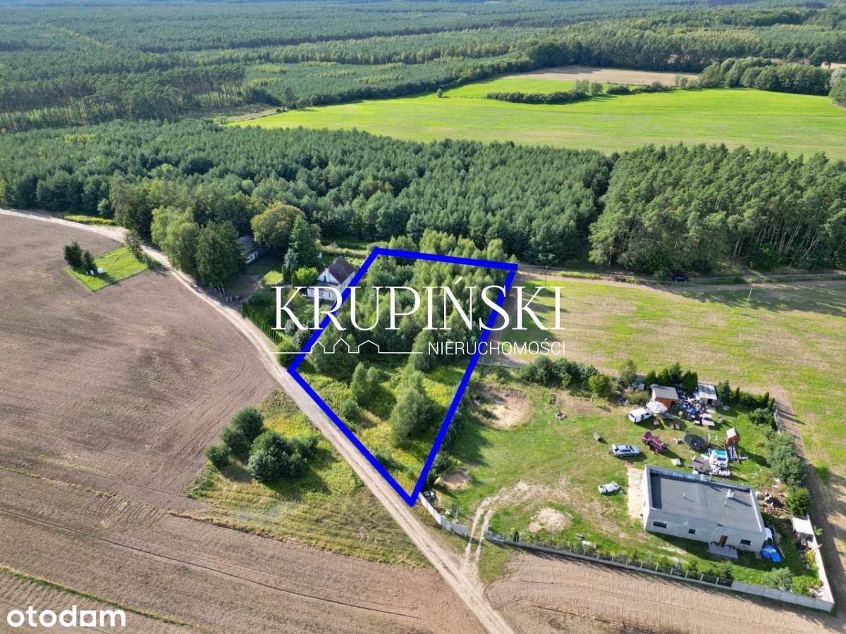 Działka w Dobrzejewicach, tuż pod lasem! - Pełny obrazek: 5/13