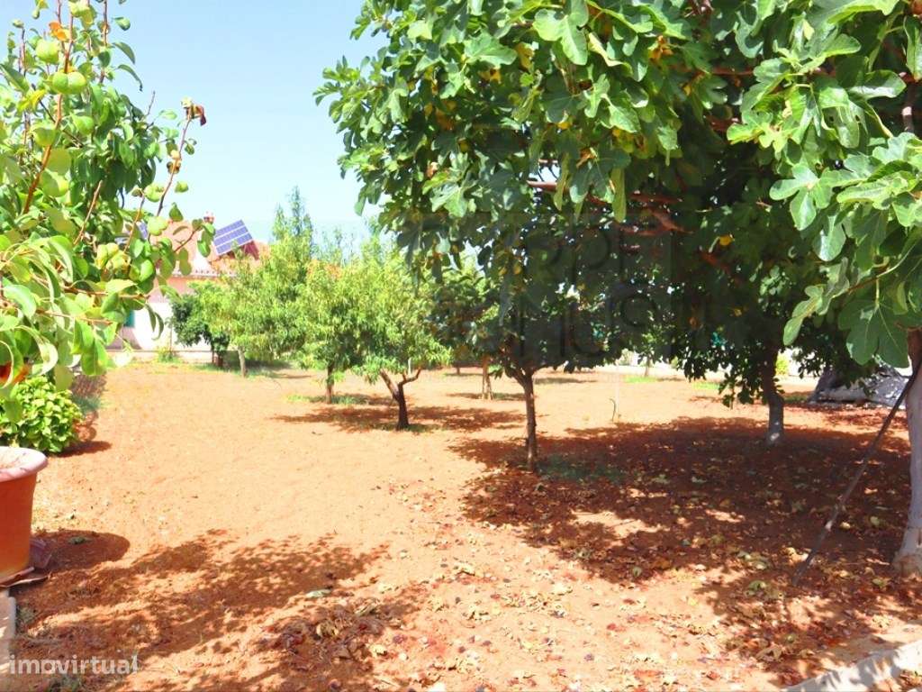 Quinta T4, em Luz de Tavira-45