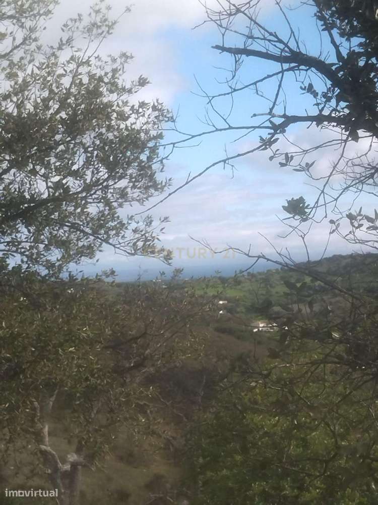 Terreno Rústico, 7500m2.  Santa Catarina da Fonte do Bispo, Tavira - Grande imagem: 5/6