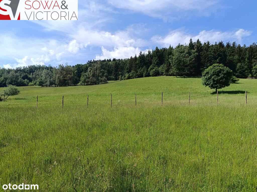 Widokowa działka pod lasem , prąd na działce-7