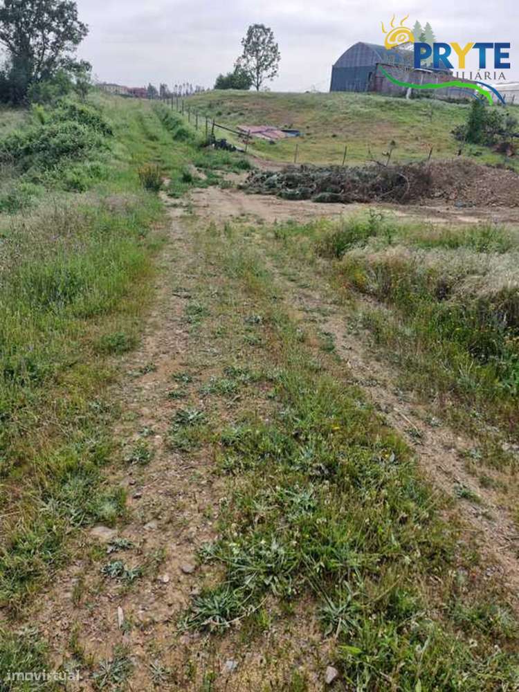 Terreno Para Construção situado na Vila da Sertã-5