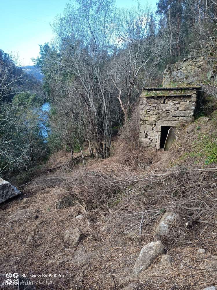 Quinta das Fontainhas, Rio de Moinhos, Penafiel-42