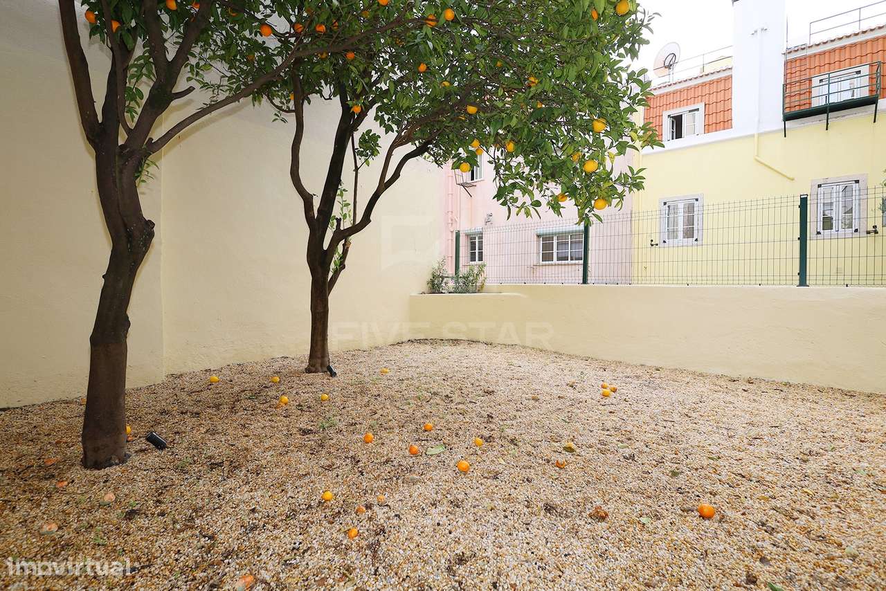 T1+1 - Príncipe Real - Renovado - Jardim Privado-34