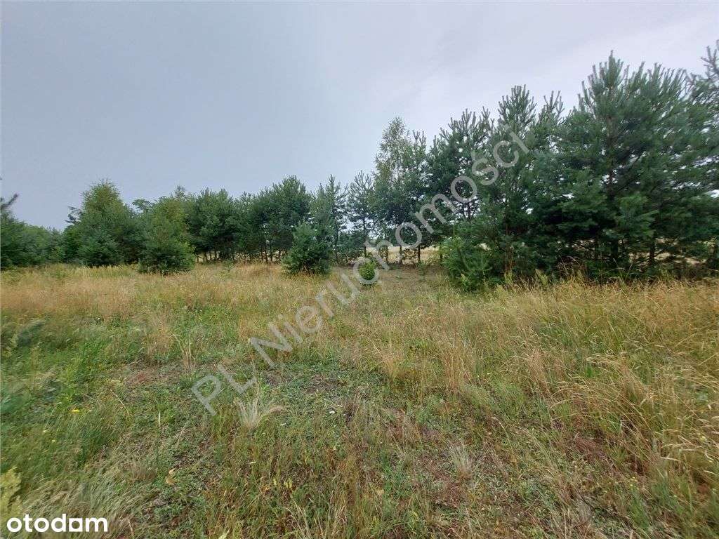 Działka Budowlana W Głuszy Rezerwatu-19