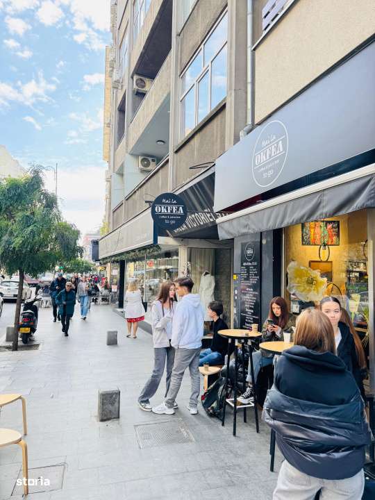 Spatiu comercial de vanzare Calea Victoriei trafic intens, vad bun-15