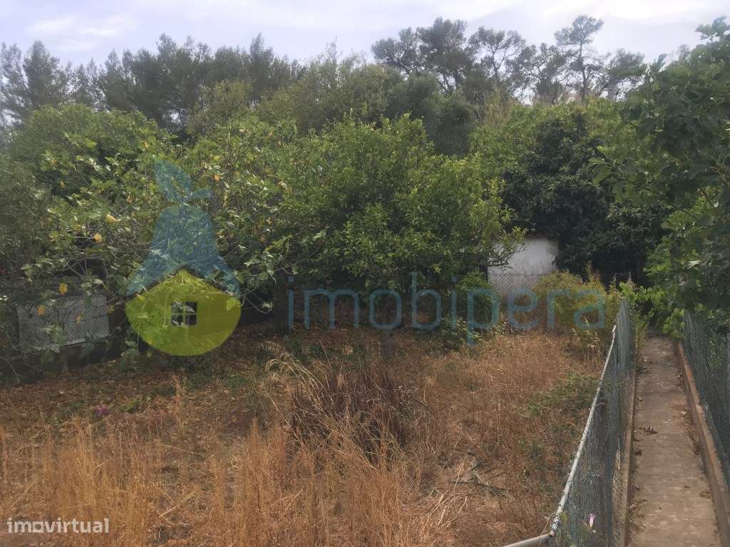 PRÉDIO URBANO COM LOJA COMERCIAL E APARTAMENTO T3 - CENTRO DE S. BA... - Grande imagem: 5/39