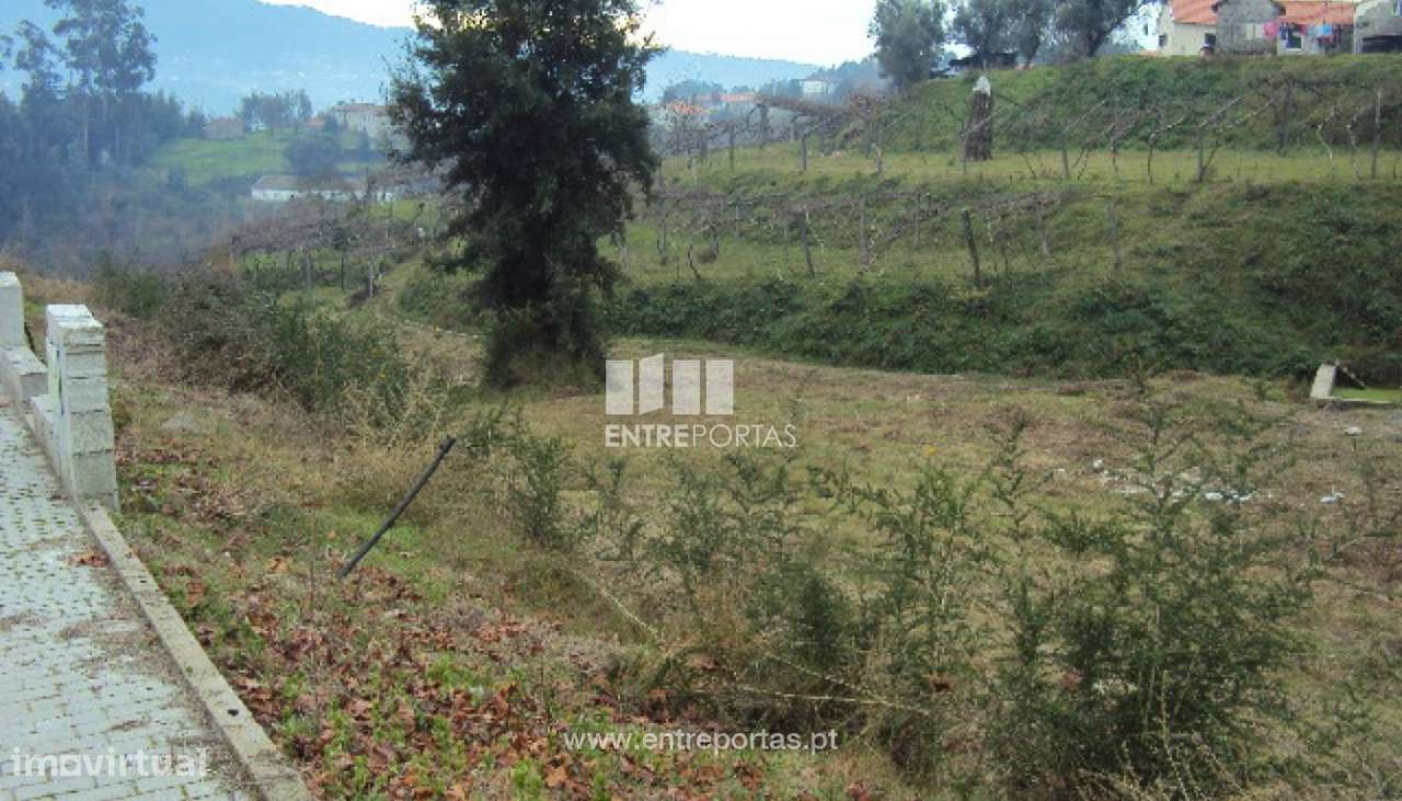 Venda Lote de Terreno com possibilidade de construção, Lomba, Amaran - Grande imagem: 4/30