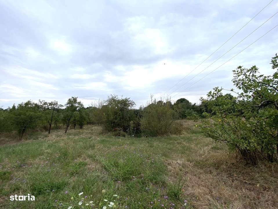 Teren intravilan 1.765 mp in Poiana Lacului, AG - Imagine principală: 5/5