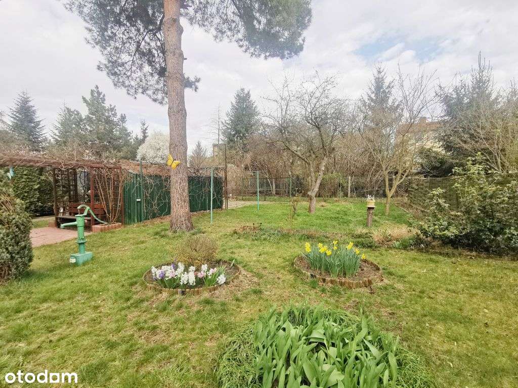 Dom szeregowy na Sępolnie, kameralne miejsce-4