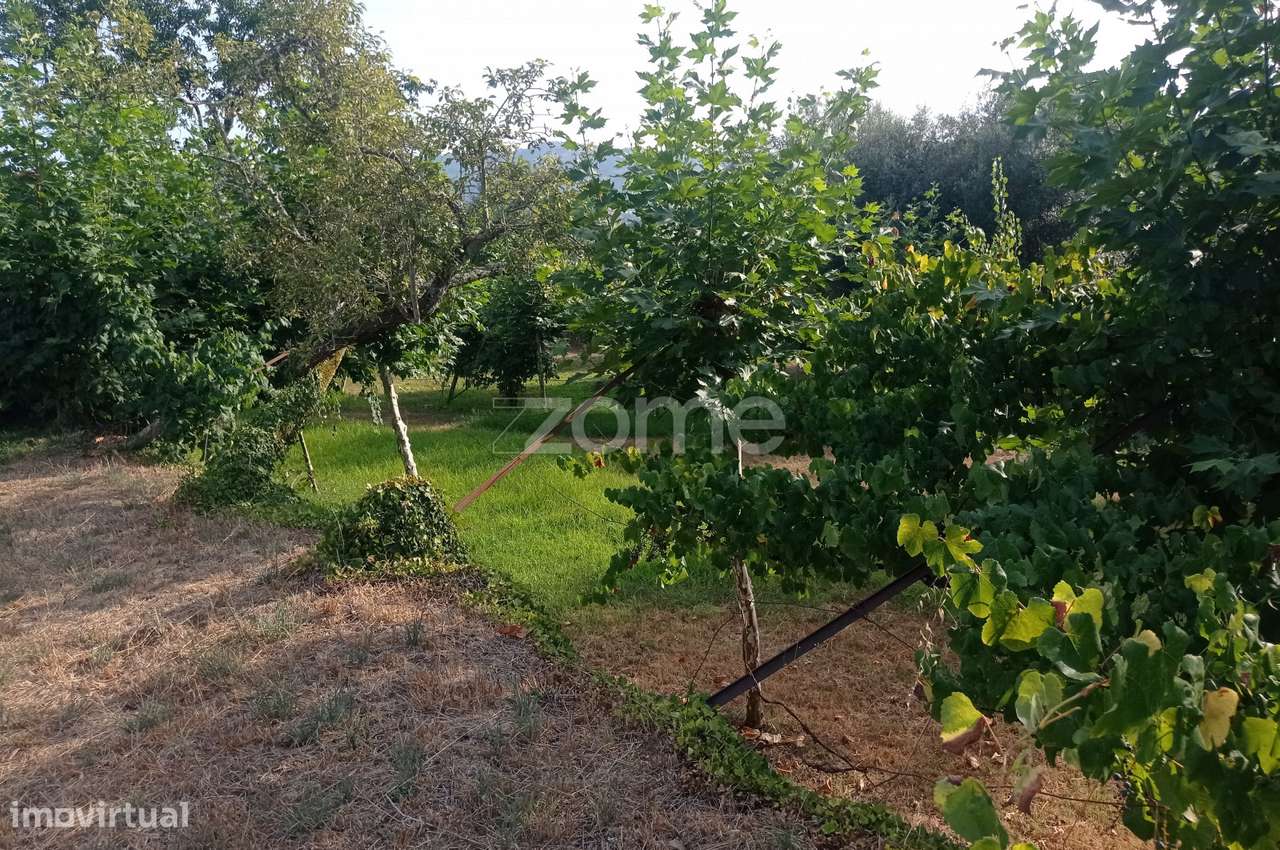 Terreno rústico com frente de estrada - Grande imagem: 4/19