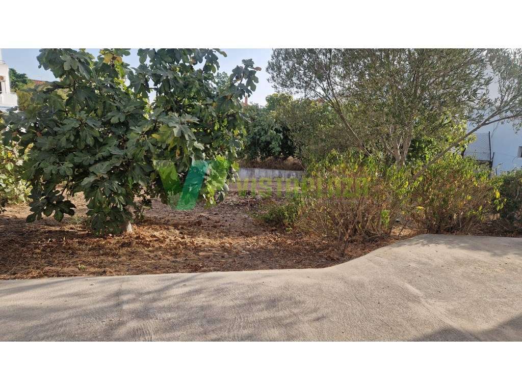 Terreno Urbano em Montenegro para venda. - Grande imagem: 3/10