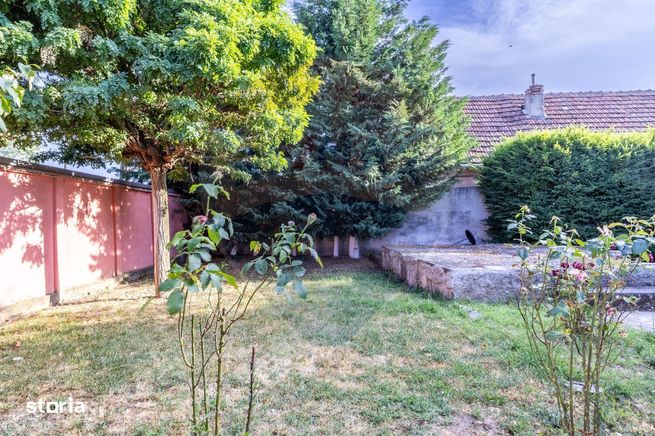 Casă 3 camere si teren 765 mp de vanzare Micalaca,Arad-13