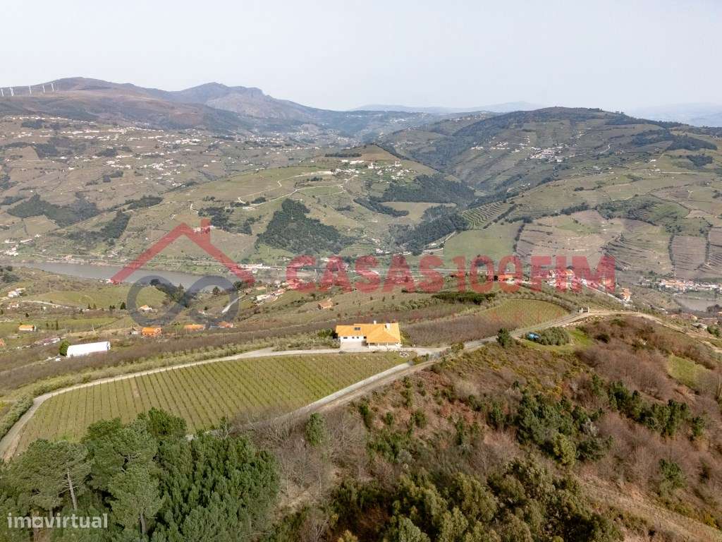 Quinta em Penajóia - Grande imagem: 2/26