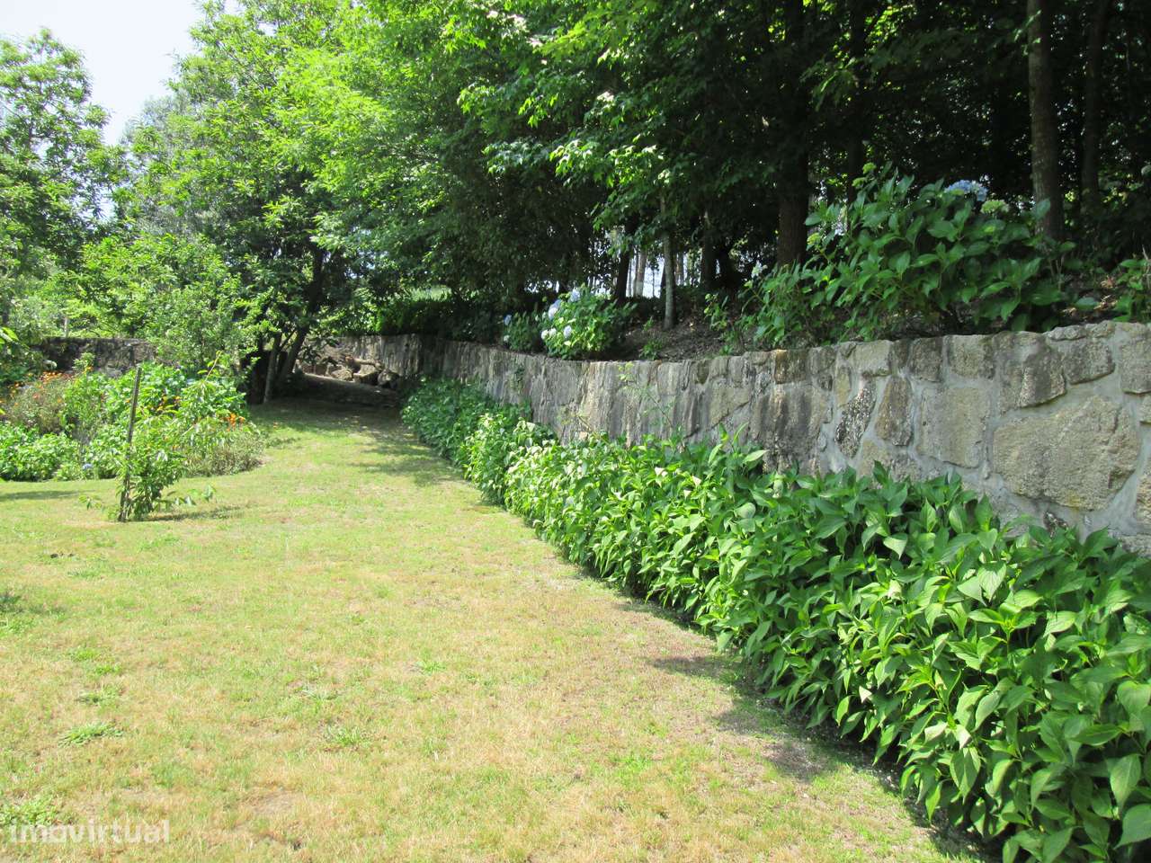 Quintinha no Minho Ponte de Lima * 10.000 m2 * a 90 Km do Porto-44