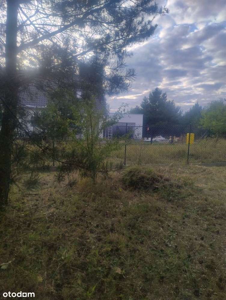 Piękna działka w Rakowni Gmina Murowana Goślina - Pełny obrazek: 5/17