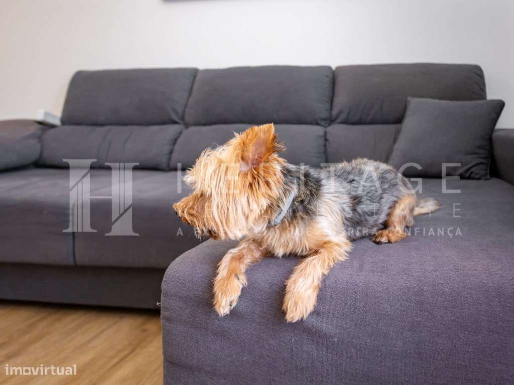 Apartamento T3 Remodelado com Suíte Baixa da Banheira-6
