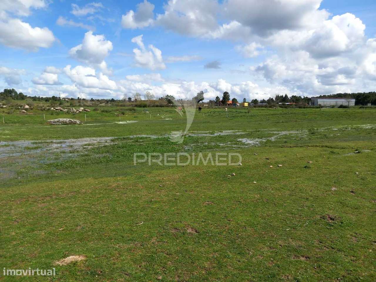 Quinta à venda com 6 Hectares – Mêda - Grande imagem: 4/13