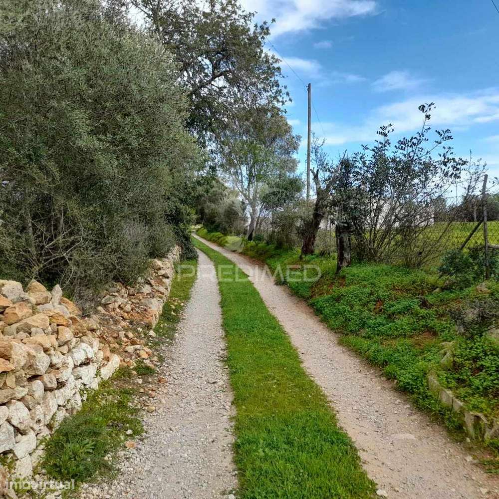 Terreno Rustico  perto de Olhão - Grande imagem: 4/6