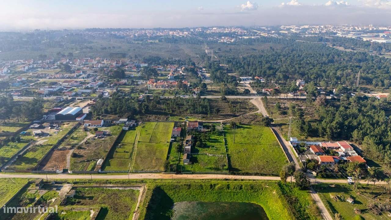 Quinta D. Maria Luísa – Um Refúgio Único entre a Natureza e a Cidade - Grande imagem: 4/27