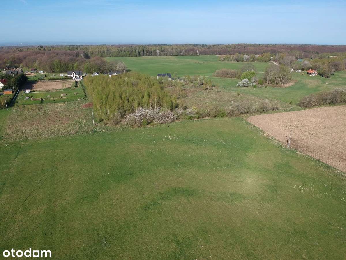 Działka budowlana Piastowo, gmina Milejewo - Pełny obrazek: 5/19