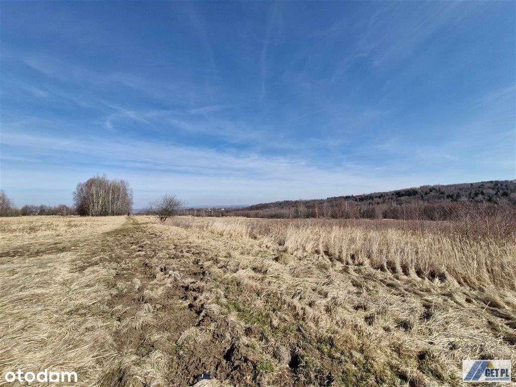 Działka pod zabudowę zagrodową lub domek do 35m2 - Pełny obrazek: 5/9