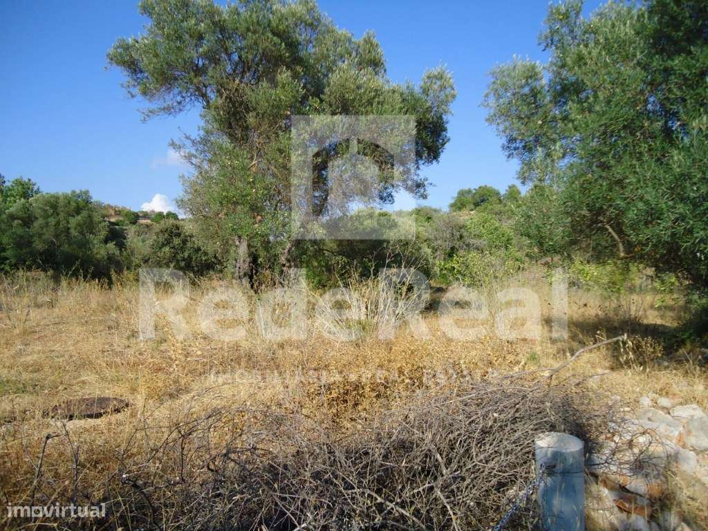 Terreno rústico, Loulé - Grande imagem: 2/7