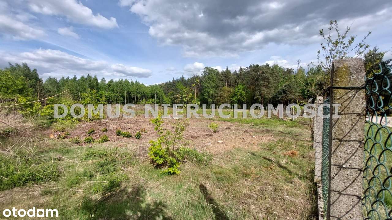 Działka - Rosanów-7