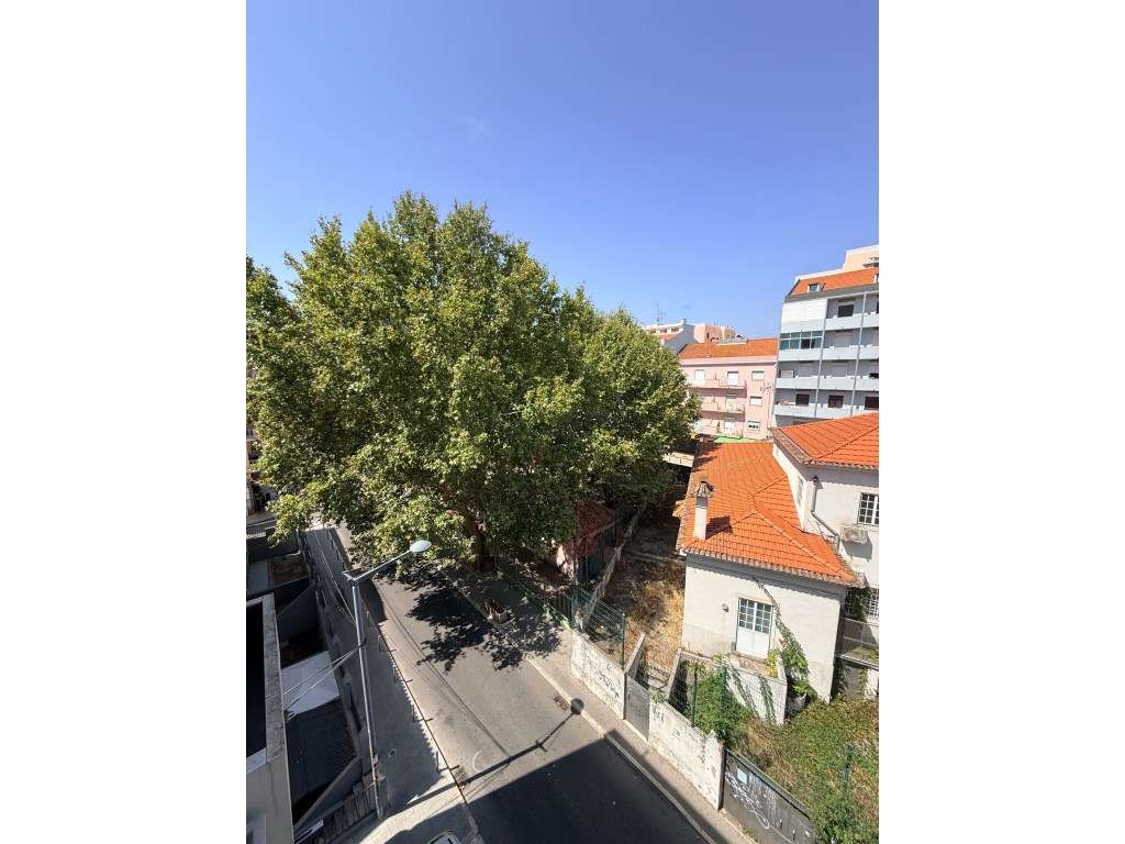 T2 a estrear no centro de Queluz-21