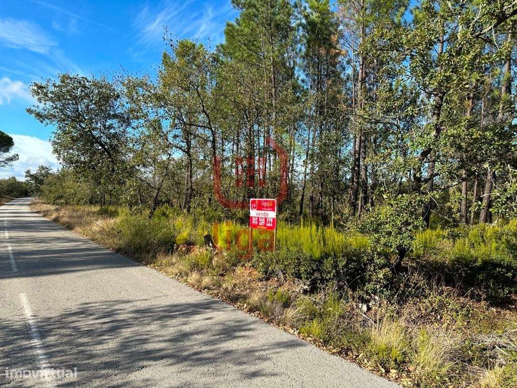 Terreno Rústico, Ourém! - Grande imagem: 4/7