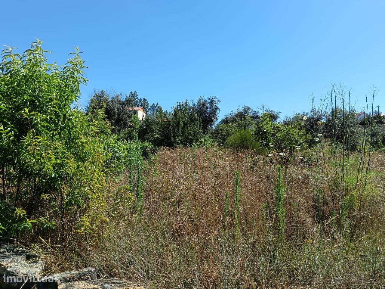 Terreno - Grande imagem: 5/11