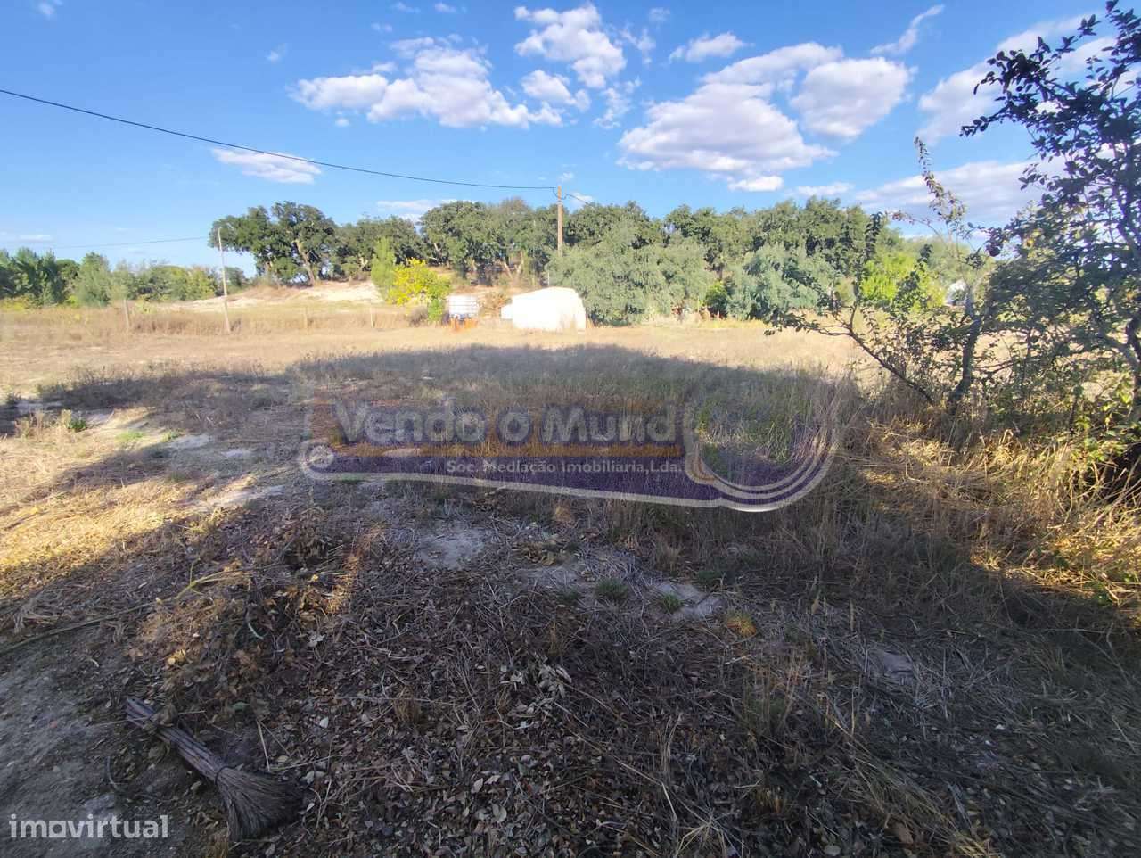 Terreno em São José da Lamarosa - Coruche (CRCH175) - Grande imagem: 5/6