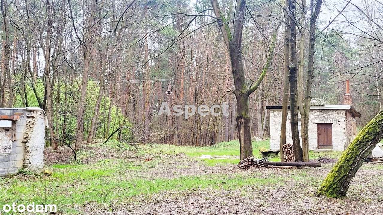 Sprzedam Dom z działką k. Kazimierza Dolnego - Pełny obrazek: 5/13