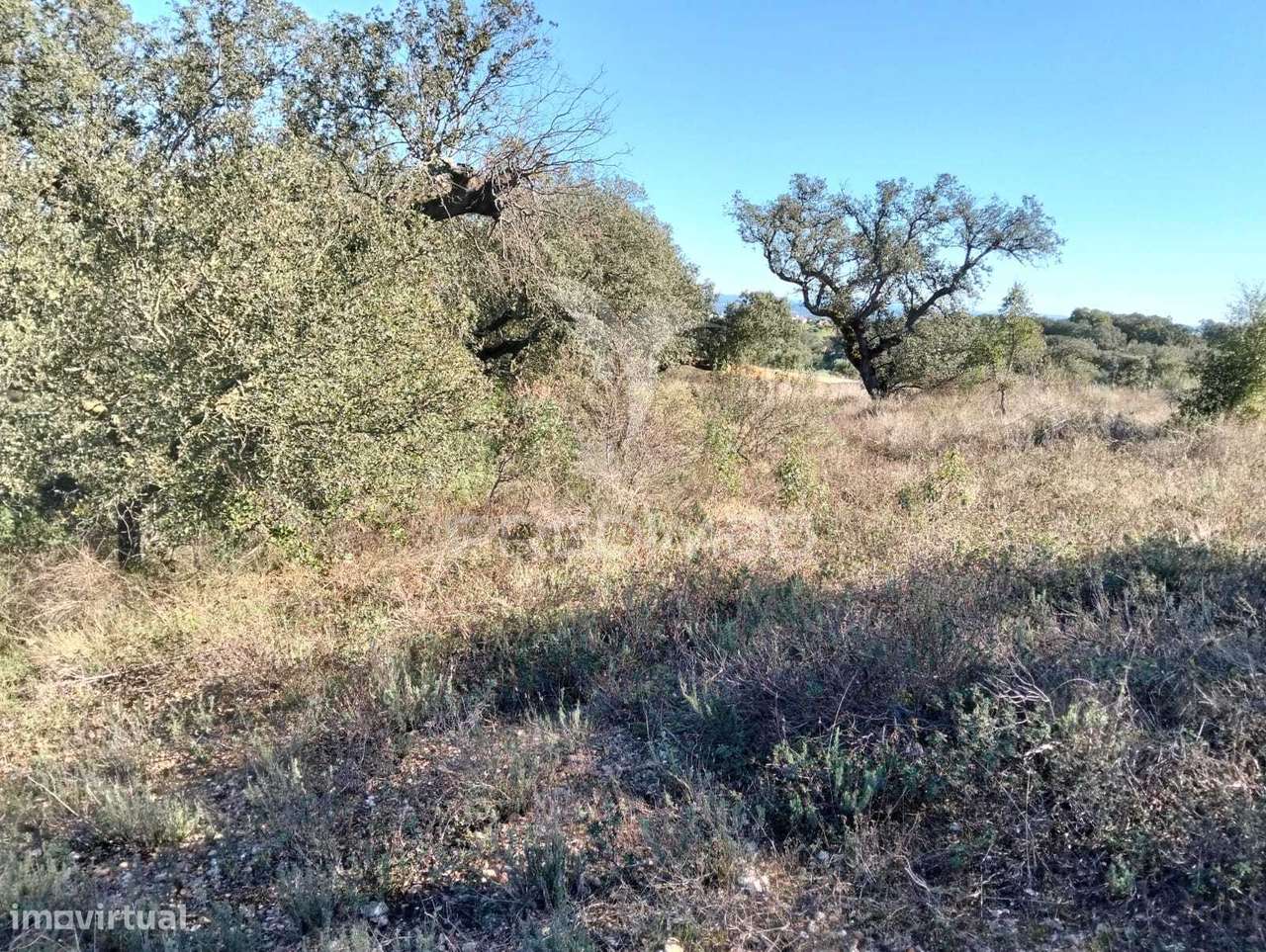 Terreno Rustico com 1,425 hectares - Grande imagem: 5/16