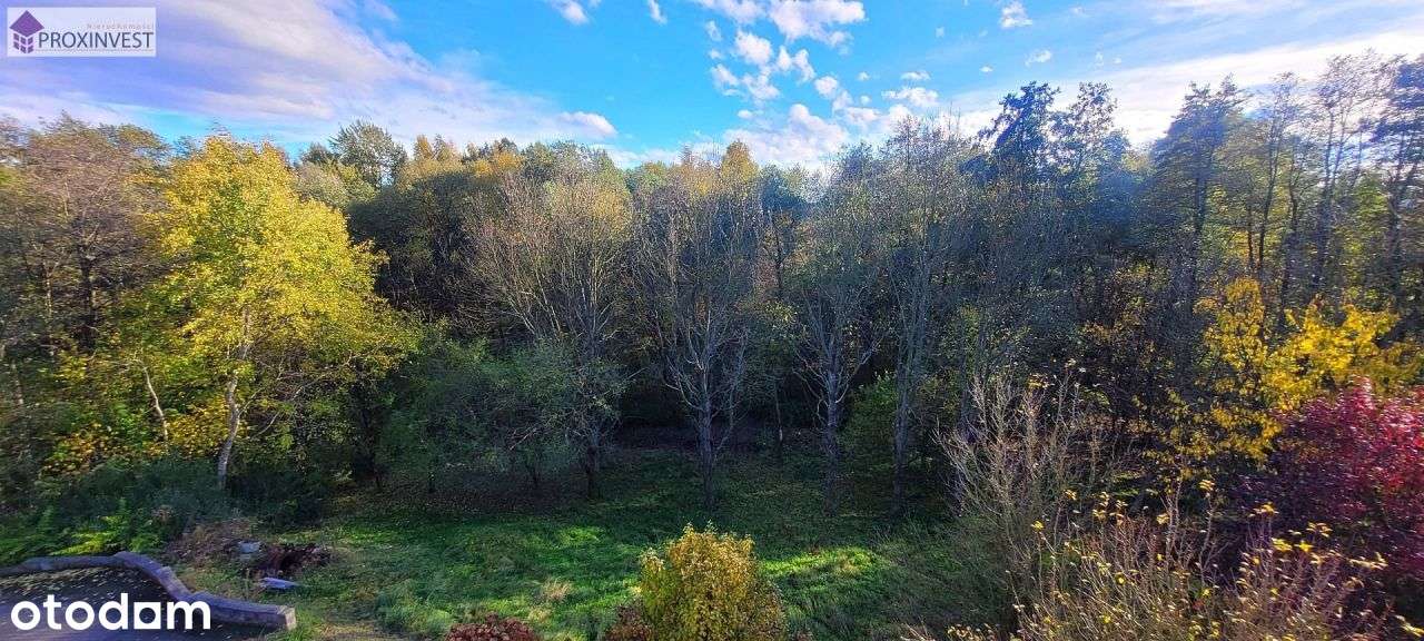 Okazja! Dom na 40-arowej działce w pięknej okolicy-2