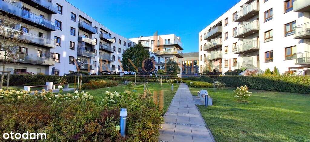 3 pokoje | 54 m2 | po remoncie | rozkładowe - Pełny obrazek: 2/17