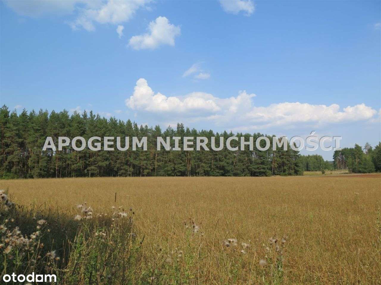 Piękna działka - Ciasne gm. Supraśl-4