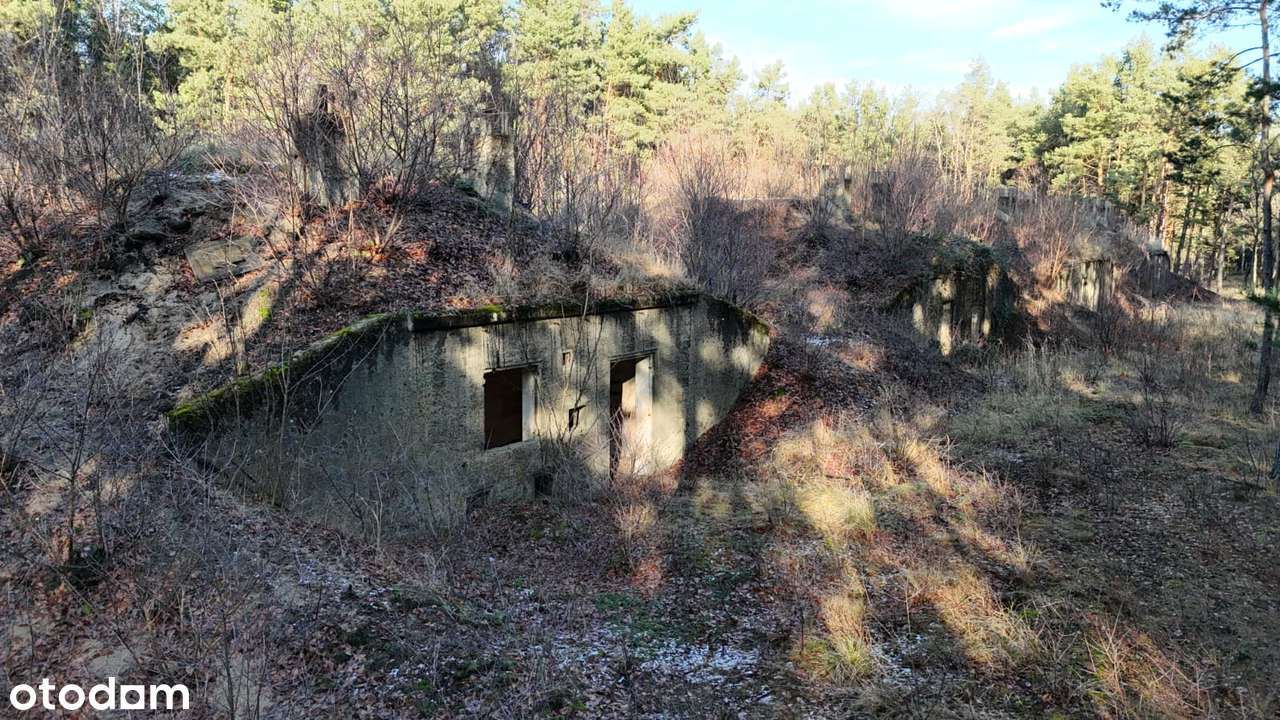 Działka inwestycyjna 1,666 ha - Brożek, Lubuskie - Pełny obrazek: 5/18