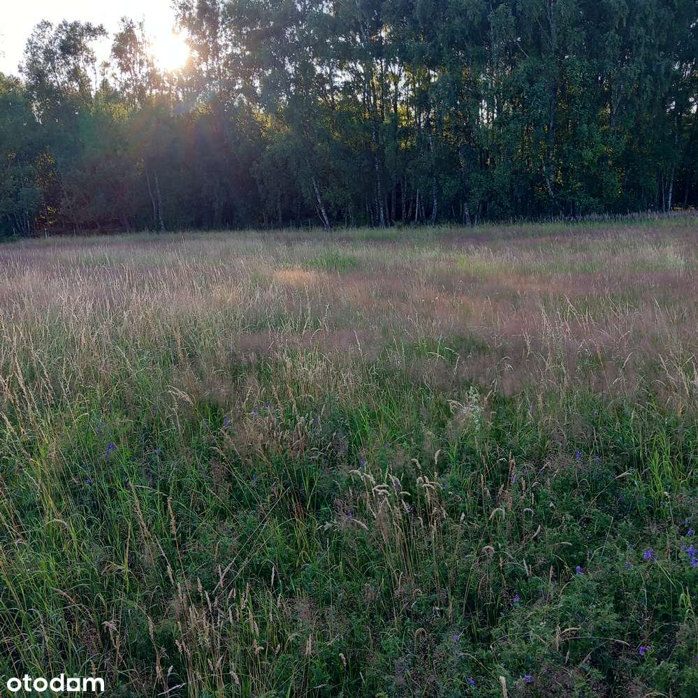 Skraj małej wsi, sąsiedztwo pola golfowego, media obok, droga gminna-7