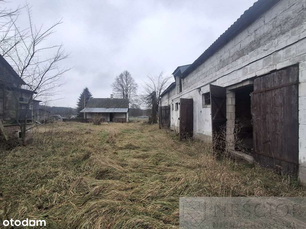 5,3 ha pod agroturystykę lub stadninę - Pełny obrazek: 5/10
