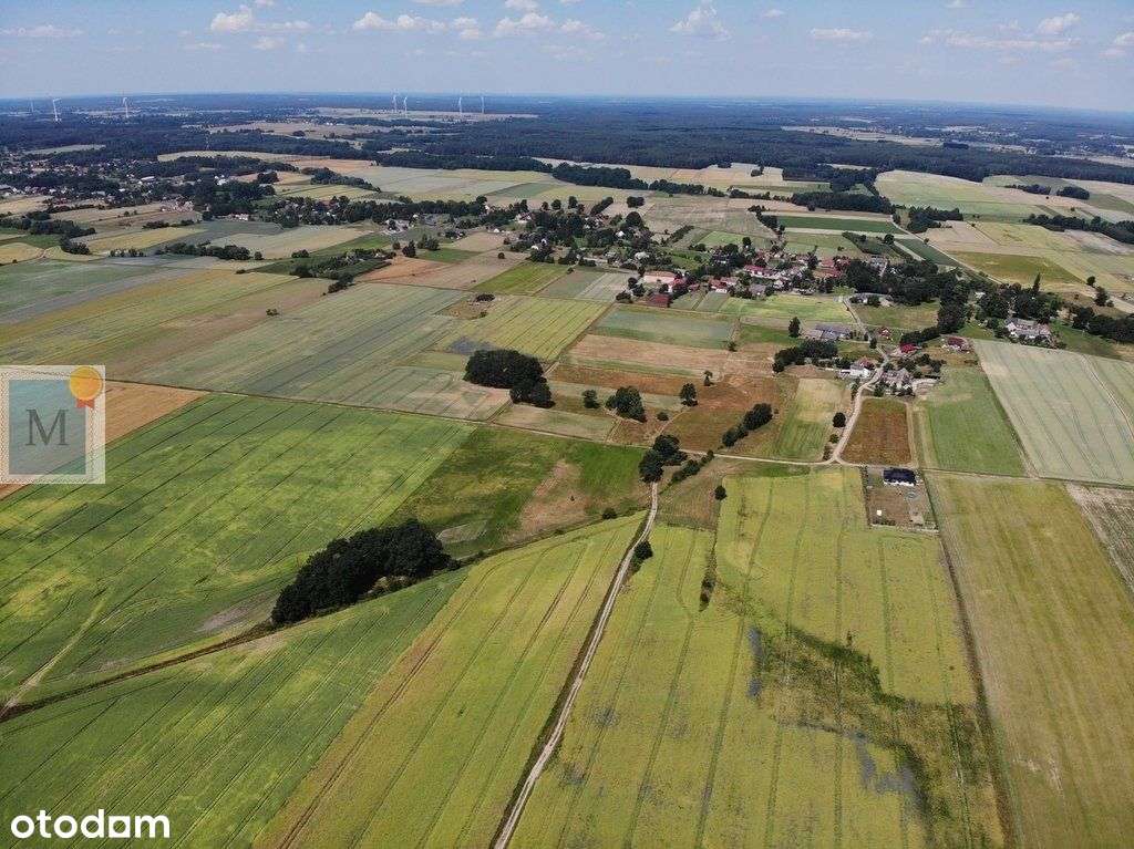 Działki w Złotniku 39arów |na uboczu| Wz |prąd - Pełny obrazek: 4/4