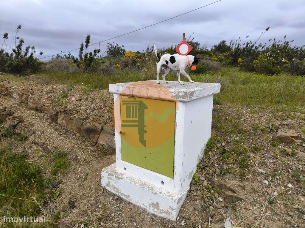 TERRENO RUSTICO COM 1.6 HECTARES - PRÓXIMO A ELETRICIDADE - PRÓXIMO... - Grande imagem: 4/28