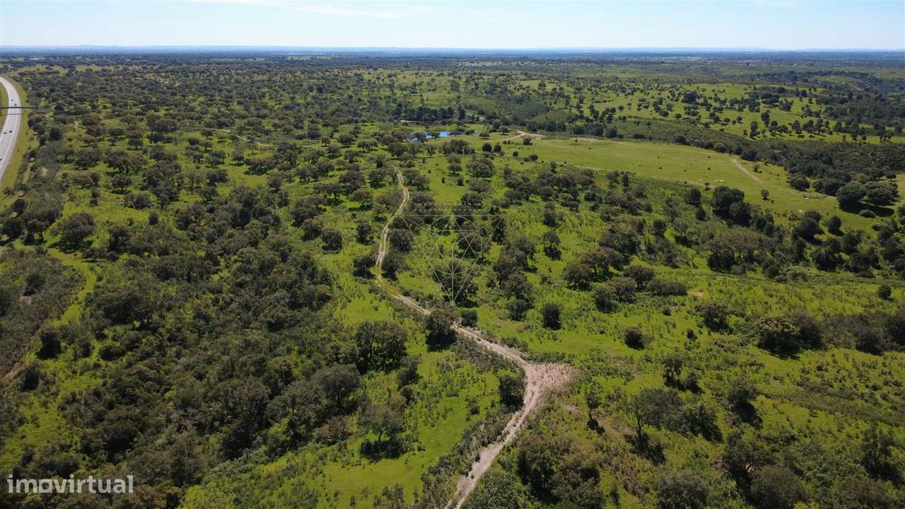 Herdade  Venda em Figueira dos Cavaleiros,Ferreira do Alentejo-6