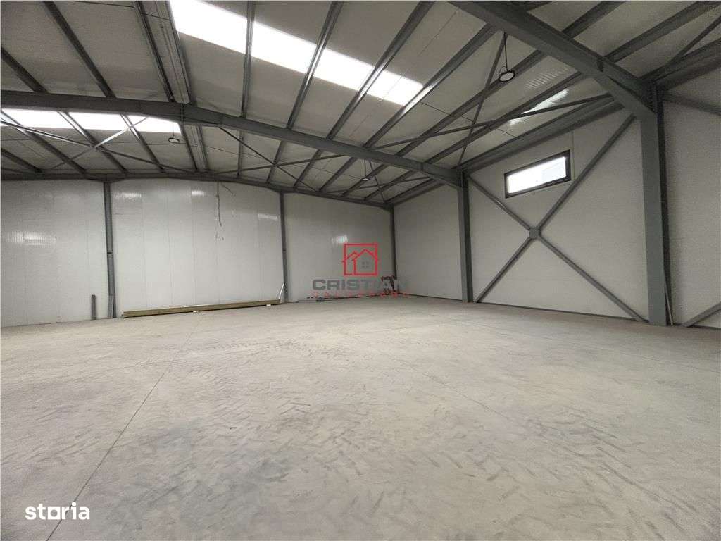 Vanzare depozithalaspatiu industrial Chitila - Centura, ILFOV - Imagine principală: 5/14