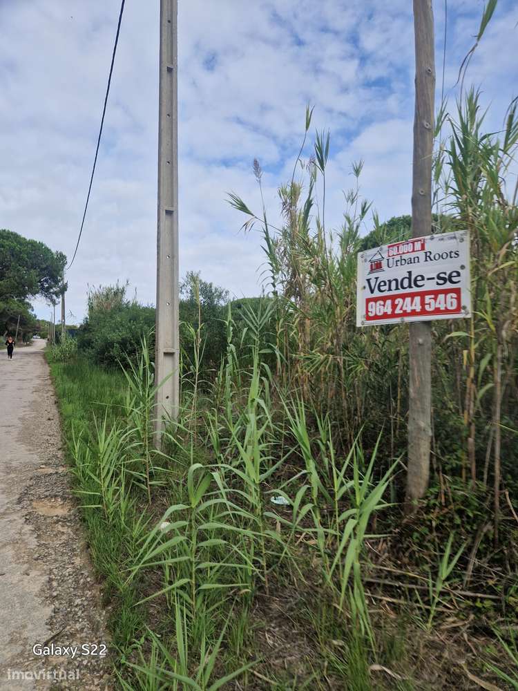 Terreno com 59.120,00 m2 Qtª Robalo - Capuchos - jtº Costa Caparica-6