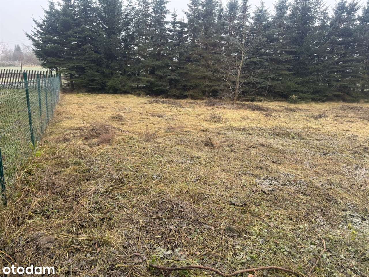 NA Sprzedaz Działka Z Linią Brzegową Jeziora-3