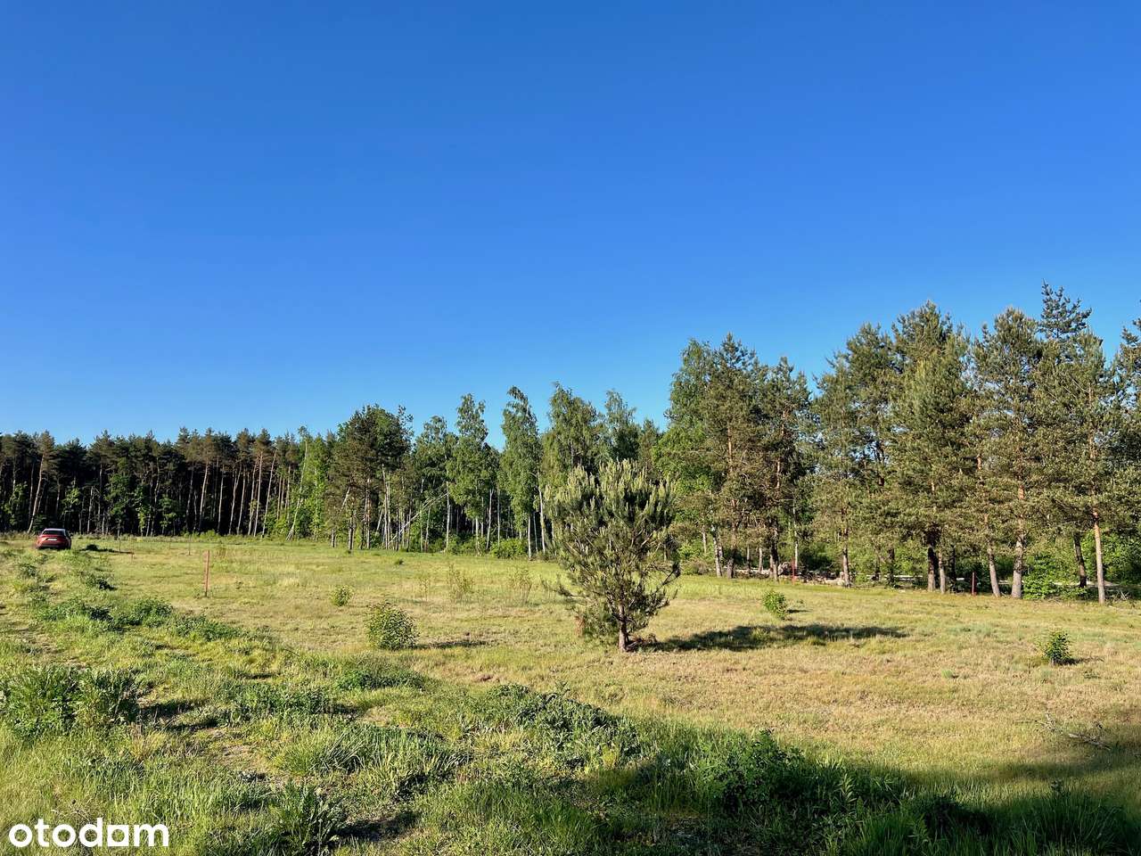 OSOWIEC skoszona, jest MPZP, utwardzona droga dojazdowa 0% PROWIZJI - Pełny obrazek: 5/9