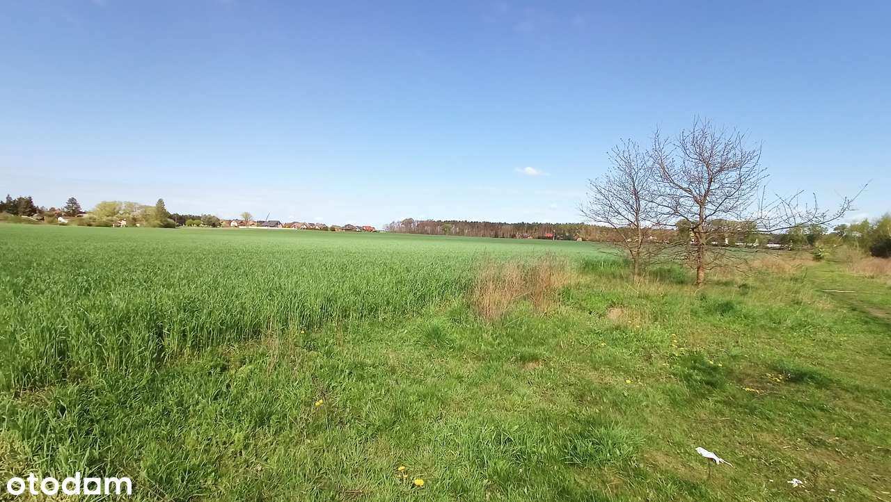 | Koninko | PROMOCJA | OKAZJA INWESTYCYJNA | działka budowlana | - Pełny obrazek: 2/6